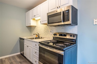 801 Plate St unit 201, Rochester, MI 48307 - photo 5