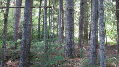 1892 King Rd, Winlock, WA 98596 - photo 3