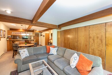 11 Hunter Hill Rd unit 305, Crested Butte, CO 81225 - photo 5