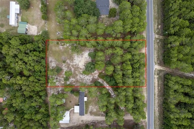 0 Sea Meadows Dr, Perry, FL 32348 - photo 6