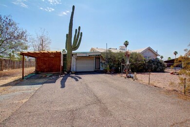 0003-saguaro (4)