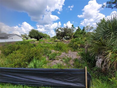 3419 Swanee Rd, Port Charlotte, FL 33980 - photo 7