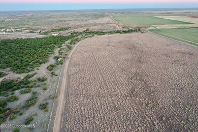 DJI_0532 copy