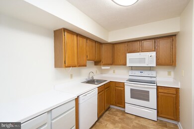 406 Aurora St, Cambridge, MD 21613 - photo 6