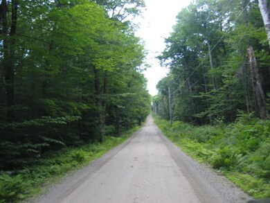 0 Cow Path 40 Lot C4 unit 4510424, Marlboro, VT 05344 - photo 3