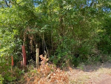 LOT 2 Landrum Rd, Lufkin, TX 75904 - photo 6