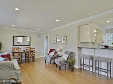 5308 Flanders Ave, Kensington, MD 20895 - photo 7