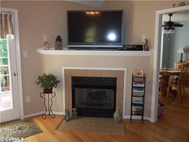 Other - corner fireplace, think snow days