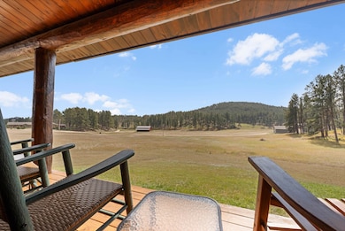 11824 Diamond Rd, Custer, SD 57730 - photo 3