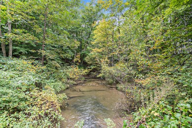 Blue Creek