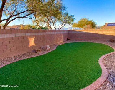 3 - Backyard