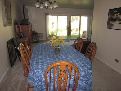 111 Jefferson St unit J, Algonquin, IL 60102 - photo 3