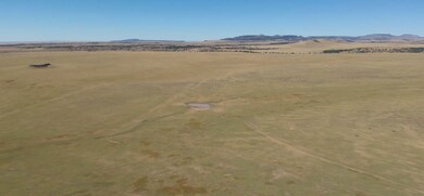 County Road A009, Des Moines, NM 88418 - photo 5