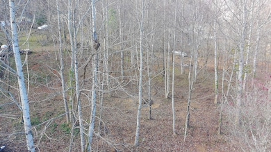 LOT 2 Eagle Heights Rd, Hiawassee, GA 30546 - photo 2