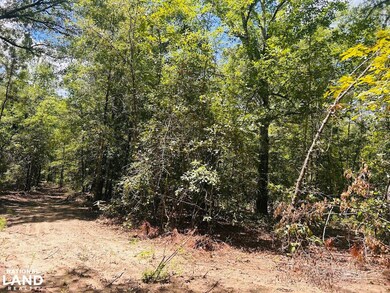 0 Moores Chapel Rd unit 25800784, Mauk, GA 31058 - photo 2