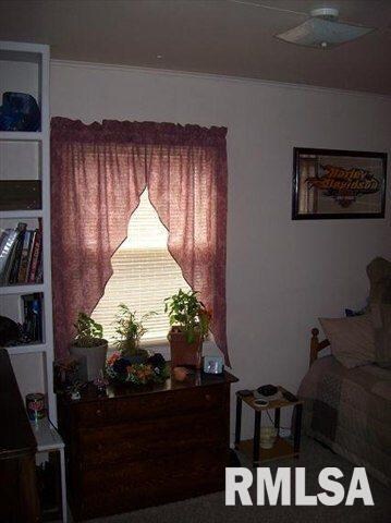 1620 Pekin St, Lincoln, IL 62656 - photo 6