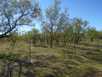 0 Twin Lakes Ln unit 10 93095, San Angelo, TX 76904 - photo 2