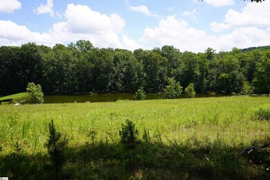 00 S Packs Mountain Rd, Taylors, SC 29687 - photo 4