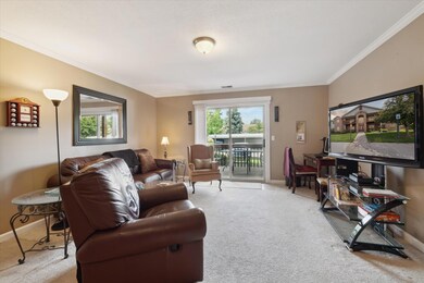 12-46063-Tallgrass-Ct-Belleville-MI-4811