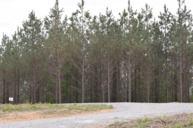 19 Chestnut Dr, Linden, TN 37096 - photo 3