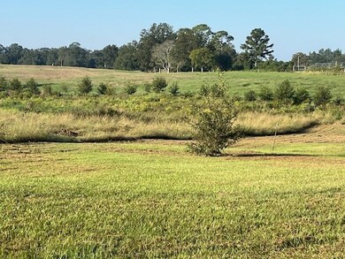 661 County Road 7, Stringer, MS 39481 - photo 6