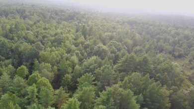 Lot 11-2 N Dexter Rd, Parkman, ME 04443 - photo 6