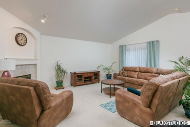 Vaulted Ceilings Living Room