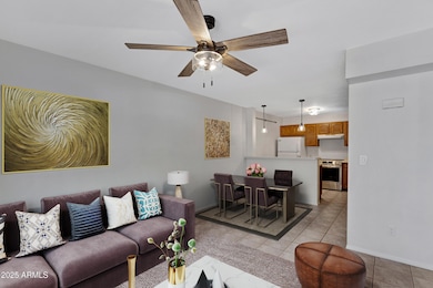 510 N Alma School Rd unit 141, Mesa, AZ 85201 - photo 3