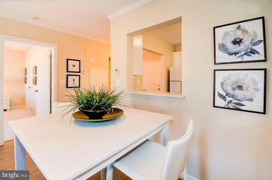 The Pavillion unit 410, Falls Church, VA 22043 - photo 7