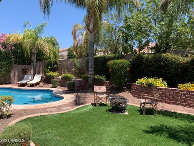 Backyard1