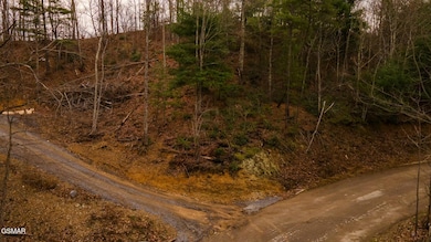 DJI_0831-HDR