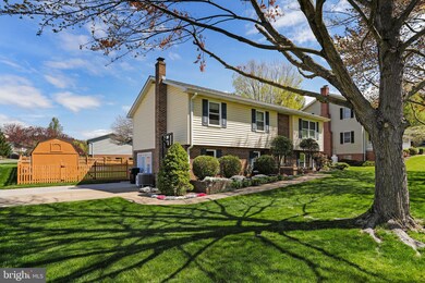 533 Virginia St, Strasburg, VA 22657 - photo 6