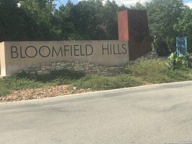 20307 Bobwhite Run, San Antonio, TX 78256 - photo 4