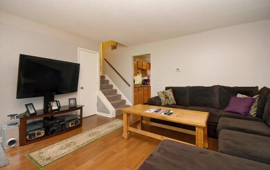 Living Room (2)
