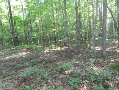 0 Bethel Lucas Rd, Asheboro, NC 27205 - photo 2