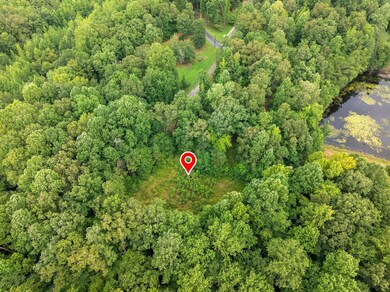 255 Jason Hollow Rd, Cedar Grove, TN 38321 - photo 7