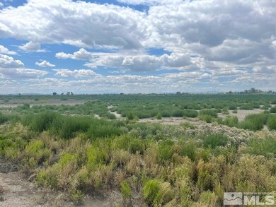 10019 Stillwater Rd, Fallon, NV 89406 - photo 2
