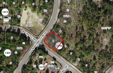 10429 N G Martinelli Blvd, Citrus Springs, FL 34433 - photo 2