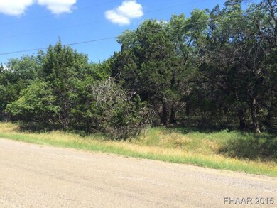 4996 Comanche Dr, Temple, TX 76502 - photo 3