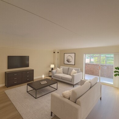 50 56 Broadlawn Park unit 512, Boston, MA 02147 - photo 2