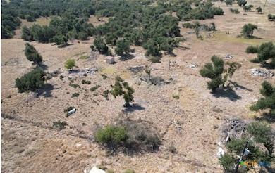 13455 Farm To Market Road 2843, Salado, TX 76571 - photo 3