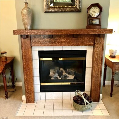 110 Chesterton Ln unit 18, Aurora, OH 44202 - photo 7