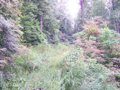 Home Site Area