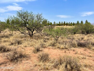 TBD N Carina Cir unit 32, Mescal, AZ 85602 - photo 3