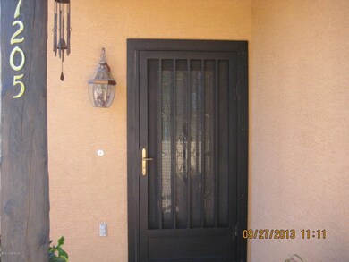 Security Door
