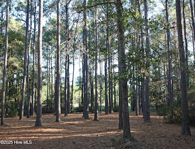 6402 Castlebrook Way SW, Ocean Isle Beach, NC 28469 - photo 2