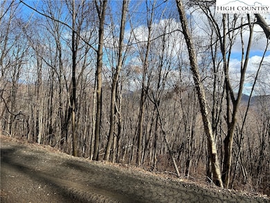 7 Woodfern Way, Todd, NC 28684 - photo 2