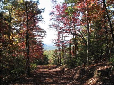 This is your fall view on your existing driveway a