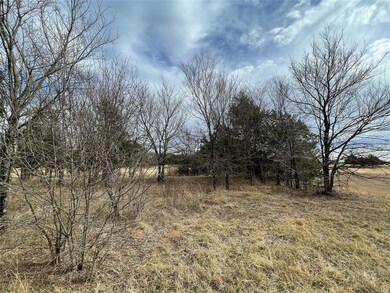 216 Roaring Fork Cir, Gordonville, TX 76245 - photo 4