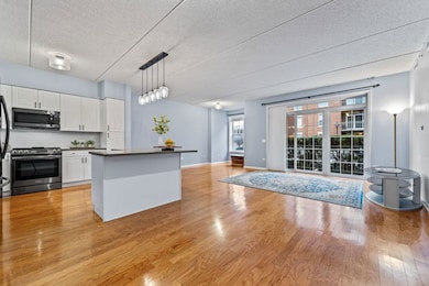 133 W Palatine Rd unit 108A, Palatine, IL 60067 - photo 3